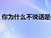 你为什么不说话是什么歌（你为什么不说话）