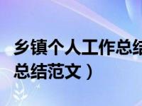乡镇个人工作总结范文怎么写（乡镇个人工作总结范文）