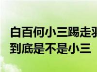 白百何小三踢走羽凡6年女友事件回顾 白百何到底是不是小三