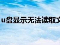 u盘显示无法读取文件（无法读取u盘怎么办）