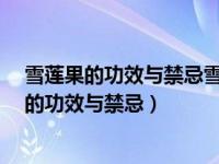 雪莲果的功效与禁忌雪莲果吃的多了会流鼻血吗?（雪莲果的功效与禁忌）