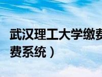 武汉理工大学缴费系统网址（武汉理工大学缴费系统）