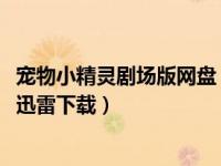 宠物小精灵剧场版网盘（宠物小精灵剧场版2019超梦的逆袭迅雷下载）