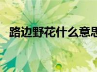 路边野花什么意思（粗口路边的野花十三）