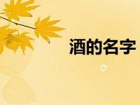 酒的名字 外国（酒的名字）
