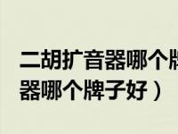 二胡扩音器哪个牌子最好(立体声)（二胡扩音器哪个牌子好）
