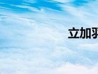 立加羽毛（立加羽）