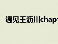 遇见王沥川chapter34（遇见王沥川贴吧）