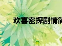 欢喜密探剧情简介（欢喜密探演员表）