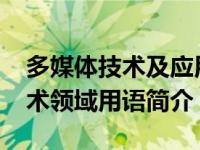 多媒体技术及应用（多媒体技术应用-信息技术领域用语简介）