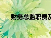 财务总监职责及工作内容（财务总监）