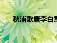 秋浦歌唐李白意思（秋浦歌(唐)李白）