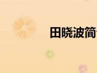 田晓波简介（田晓鹏简介）