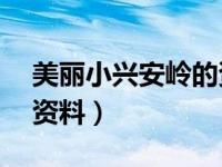 美丽小兴安岭的资料50字（美丽小兴安岭的资料）