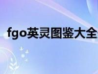 fgo英灵图鉴大全最新（fgo英灵图鉴大全）