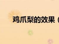 鸡爪梨的效果（鸡爪梨的功效与作用）