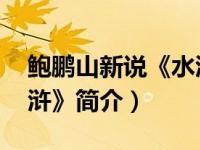 鲍鹏山新说《水浒》 小说（鲍鹏山新说《水浒》简介）