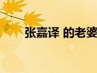 张嘉译 的老婆（张嘉译的老婆前妻）