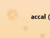 accal（7-ACcA简介）