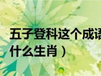 五子登科这个成语是什么意思（五子登科是指什么生肖）