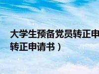 大学生预备党员转正申请书3000字2022（大学生预备党员转正申请书）