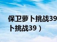 保卫萝卜挑战39关攻略图解法视频（保卫萝卜挑战39）