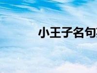小王子名句英语（小王子名句）
