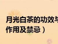 月光白茶的功效与作用及禁忌（白茶的功效与作用及禁忌）