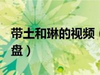 带土和琳的视频（王依1分30秒琳视频百度网盘）