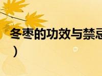冬枣的功效与禁忌是什么（冬枣的功效与禁忌）