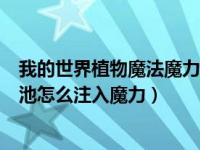 我的世界植物魔法魔力池满了咋办（我的世界植物魔法魔力池怎么注入魔力）
