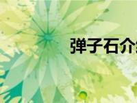 弹子石介绍（弹子石简介）