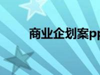 商业企划案ppt（商业企划案模板）