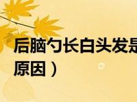 后脑勺长白头发是为什么（后脑勺长白头发的原因）