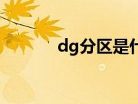 dg分区是什么意思（dg分区）