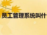 员工管理系统叫什么（员工管理软件哪个好）