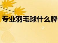 专业羽毛球什么牌子好（羽毛球什么牌子好）