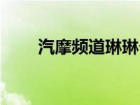 汽摩频道琳琳个人简历（汽摩频道）