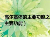 高尔基体的主要功能之一是参与细胞壁的形成（高尔基体的主要功能）