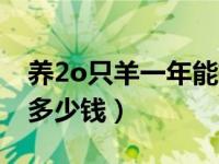 养2o只羊一年能挣多少钱（养20头羊一年赚多少钱）