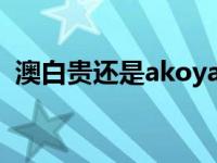 澳白贵还是akoya贵（什么是AKOYA珍珠）