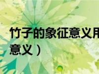 竹子的象征意义用诗词表达出来（竹子的象征意义）