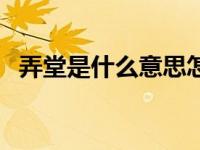 弄堂是什么意思怎么读（弄堂是什么意思）