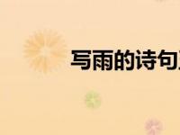 写雨的诗句五言（写雨的诗句）