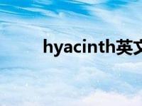 hyacinth英文名含义（hyacinth）