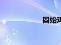 固始鸡蛋（固始鸡）