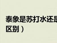 泰象是苏打水还是气泡水（气泡水和苏打水的区别）
