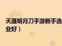 天涯明月刀手游新手选什么职业（天涯明月刀新手玩什么职业好）
