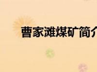 曹家滩煤矿简介（煤矿魔力小子简介）