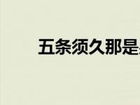 五条须久那是男是女（五条须久那）